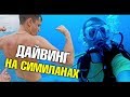 Самый лучший дайвинг на Симиланских островах. Что на дне? Подводный мир ft. Александр Кондрашов