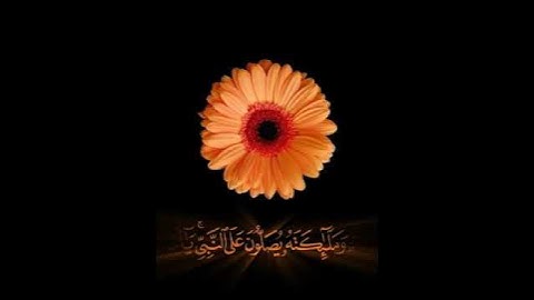 حالات واتس قران دينية|| يوم الجمعة || سورة الكهف || ستوريات دينية يوم الجمعة