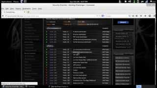 basic lv2 securityoverride.org CTF