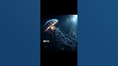 What If Death Never Existed? #psychology #death #life #humans