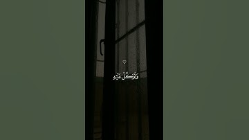 تلاوة من سورة هود|القارئ ماهر المعيقلي