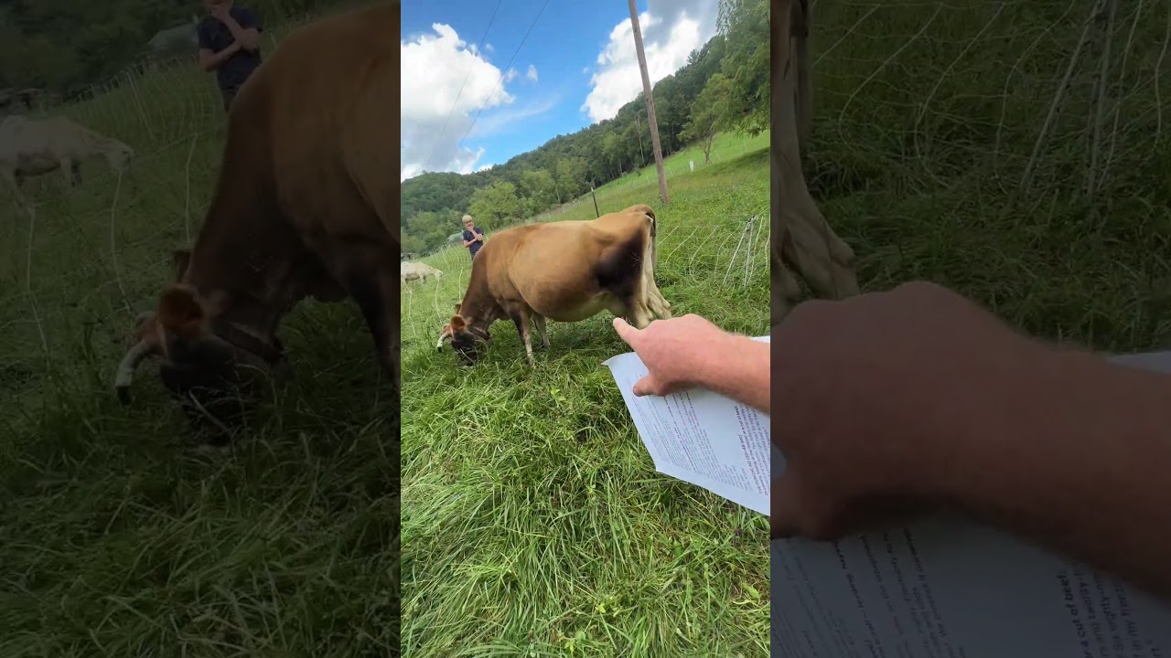 How I buy grass-fed beef for .50