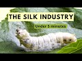 Why is The Silk Industry so CRUEL? (Hindi)