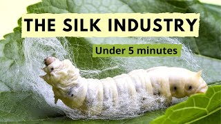 Why is The Silk Industry so CRUEL? (Hindi)
