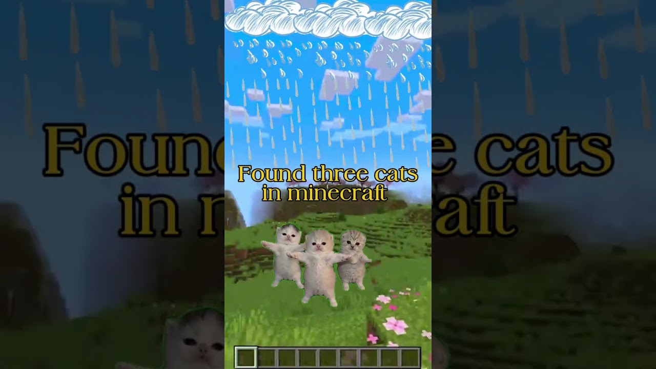 Found 3 cats in minecraft