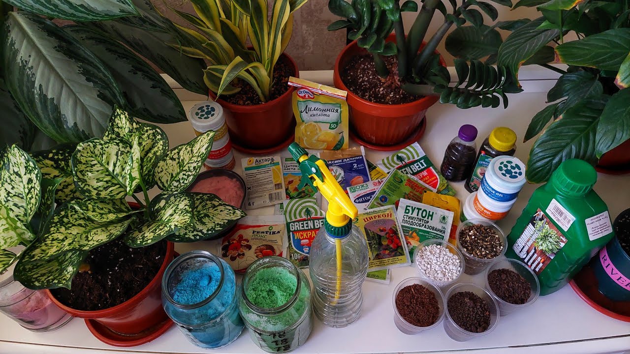 Гулларни тез ўстириш учун энг зўр озуқа (Айнан баҳор ва ёз учун жуда муҳим озуқа).