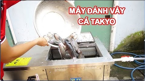 Bán máy đánh vảy cá rô đồng takyo tk500, video máy hướng dẫn đánh vảy cá rô đồng bằng máy takyo
