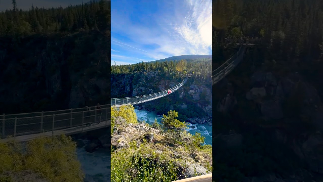 Yukon Suspension Bridge & White Pass Railroad #skagway #alaskancruise