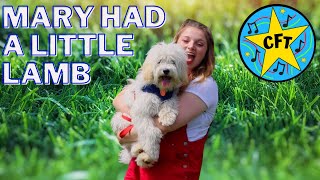 Mary Had A Little Lamb From Mother Goose Nursery Rhymes - Adorable Rhyme For Kids