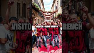 Exploring Haro: Spains Wine Festival Haven Resimi