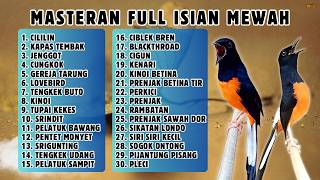 🔴 MASTERAN PALING LENGKAP ‼️ FULL ISIAN MURAI BATU GACOR