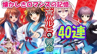 【黒猫のウィズ】涼宮ハルヒの響命ガチャ 正装とコスプレの40連