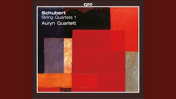 String Quartet No. 7 in D Major, D. 94: I. Allegro
