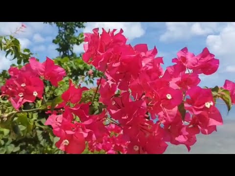 YESHUA WORSHIPINSTRUMENTAL JESUS IMAGE  YouTube