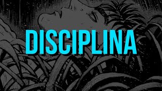 O segredo da disciplina.