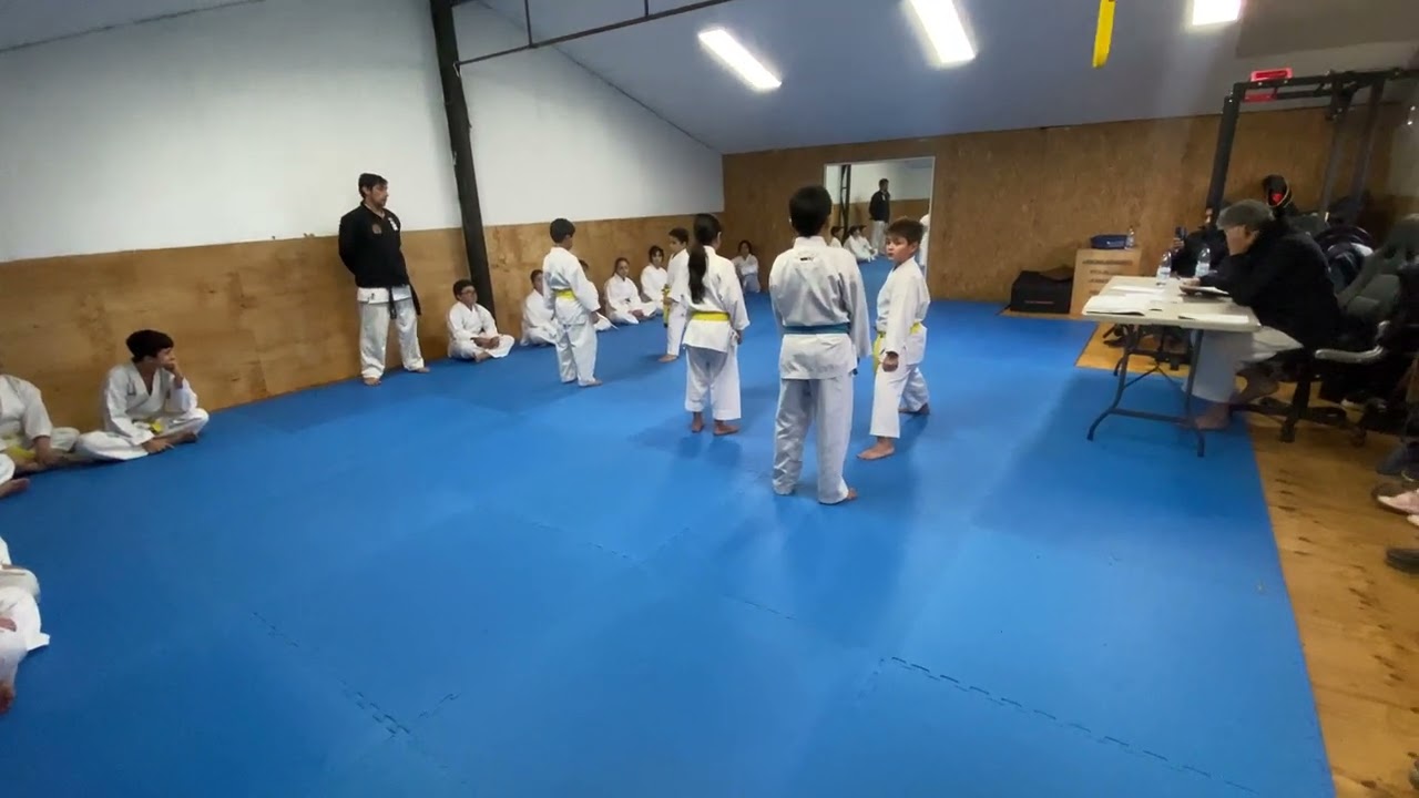 Examen para optar cinturón Naranjo.