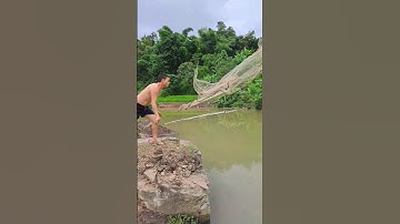 Ông lão đánh cá và con cá rô #shorts