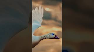 Супер Гусь против Жирафа. #music #aimusic #ai #aiart #shortvideo #shorts #музыка #goose