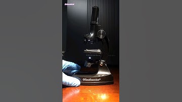 Is This $20 Dollar Microscope Worth It?