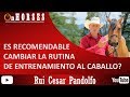 ES RECOMENDABLE CAMBIAR LA RUTINA DE ENTRENAMIENTO AL CABALLO? Rui Cesar Pandolfo-On HORSES Channel