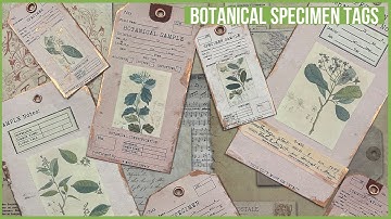 🌿🏷Vintage junk journal botanical specimen tags ephemera junk journal with me @TracieFoxCreative
