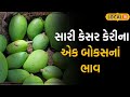 Keasr keri  the price of a box of good saffron mangoes is 1500 rupees  gujarati news  news 18  local 18