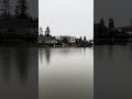 New Petaluma Community!