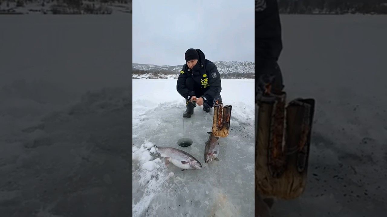 Extreme Ice Fishing 🔥 | Catching Giant Fish on Frozen Lake 