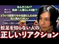 【APEX】蛇足のアカウントネームに食いつく一般プレイヤー【リアクション動画】