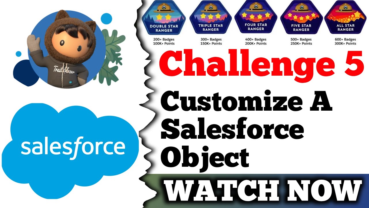 Customize a Salesforce Object | Salesforce Trailhead | Create Record Types | Challenge 5