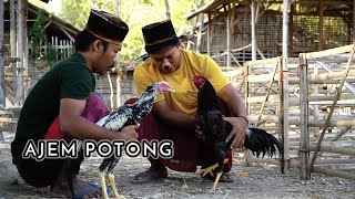 MADURA LUCU. // AYAM POTONG.