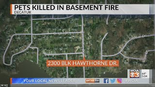 Two animals killed in fire