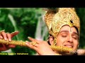 Krishna Flute of the Mahabharat TV Serial