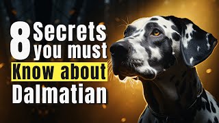 8 Essential Secrets You Need to Know Before Adopting a Dalmatian