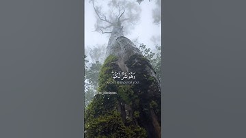 القارئ: مشاري راشد العفاسي ، وعسى أن تكرهوا شيئا .