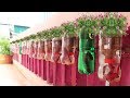 Amazing Plastic Bottle Vertical Garden Ideas, Plastic Bottles on Walls