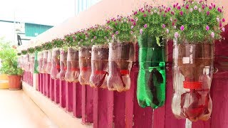 Amazing Plastic Bottle Vertical Garden Ideas, Plastic Bottles on Walls