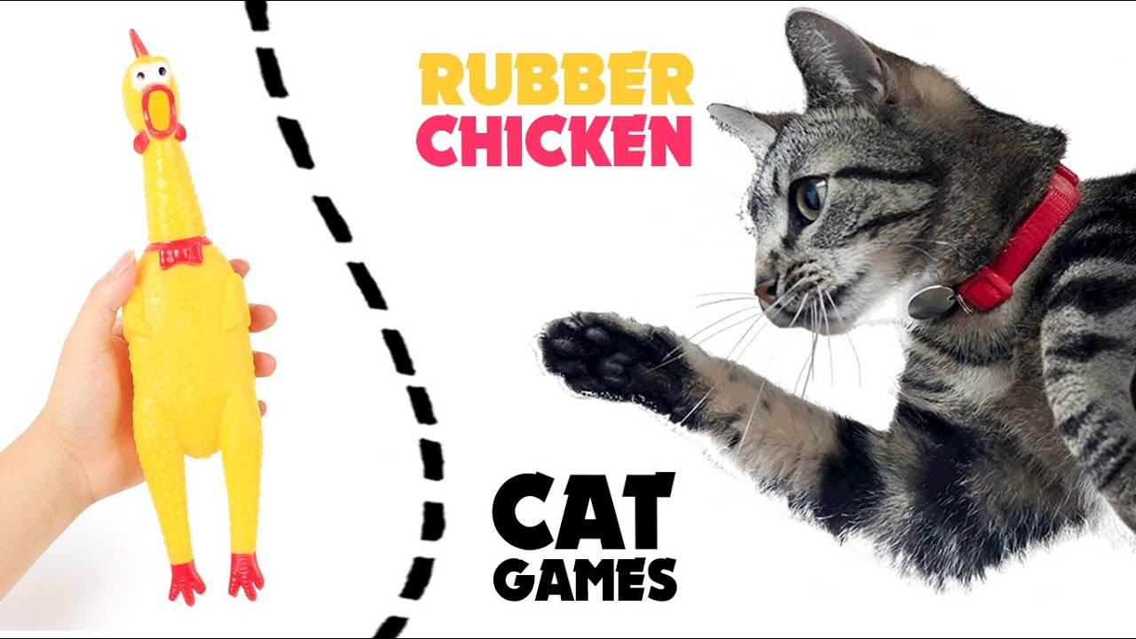 CAT GAMES ★ CATCH rubber chicken on screen ★ YouTube