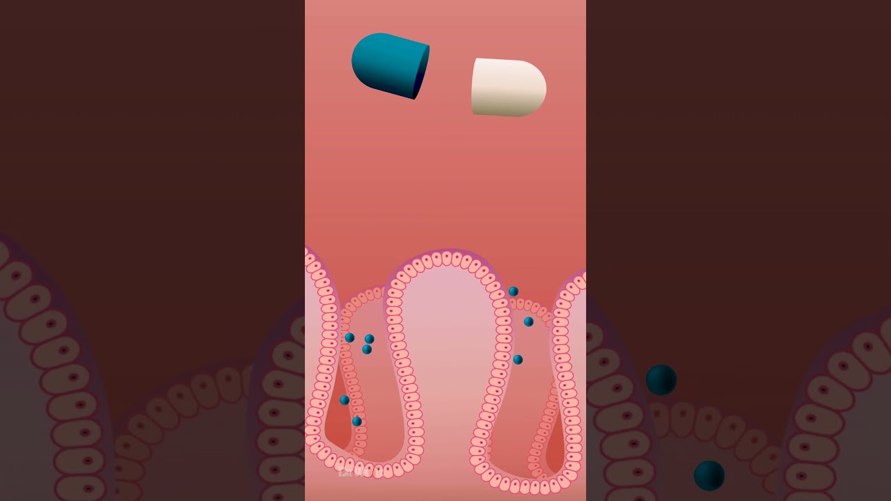 Medicine Digestion: What Happens After You Swallow a Pill?