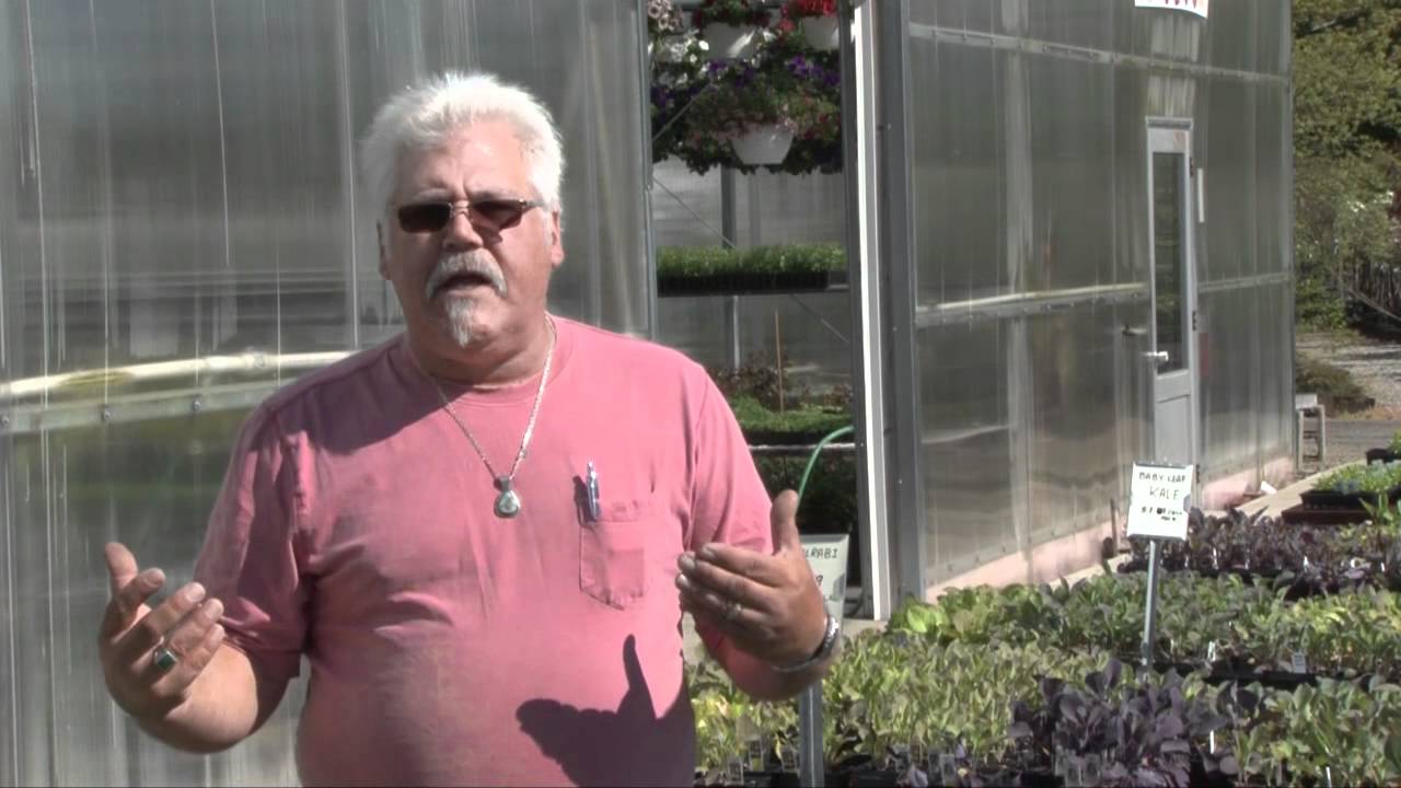 North Dayton Garden Center Spring 2012 Youtube