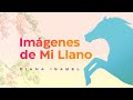 Diana Isabel - Imágenes de mi Llano