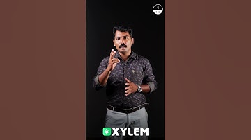 എന്താണ് Profit? എന്താണ് Loss?  - Let