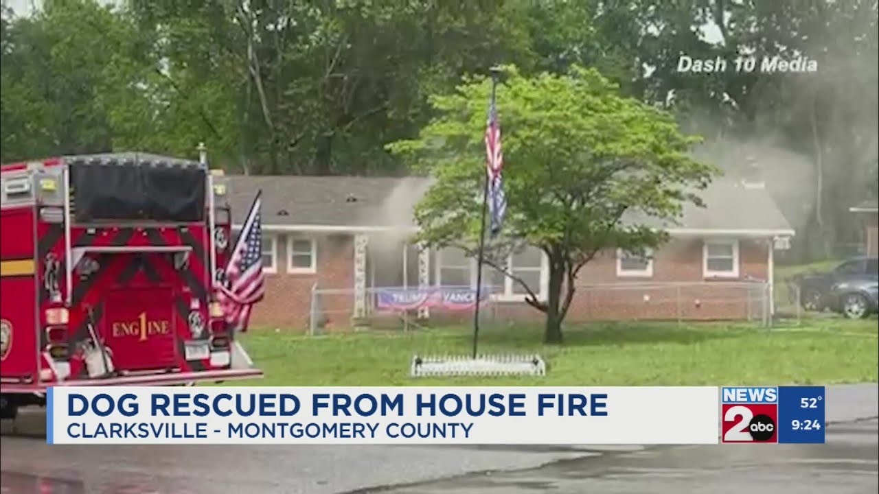 First responders rescue dog amid Clarksville house fire - YouTube