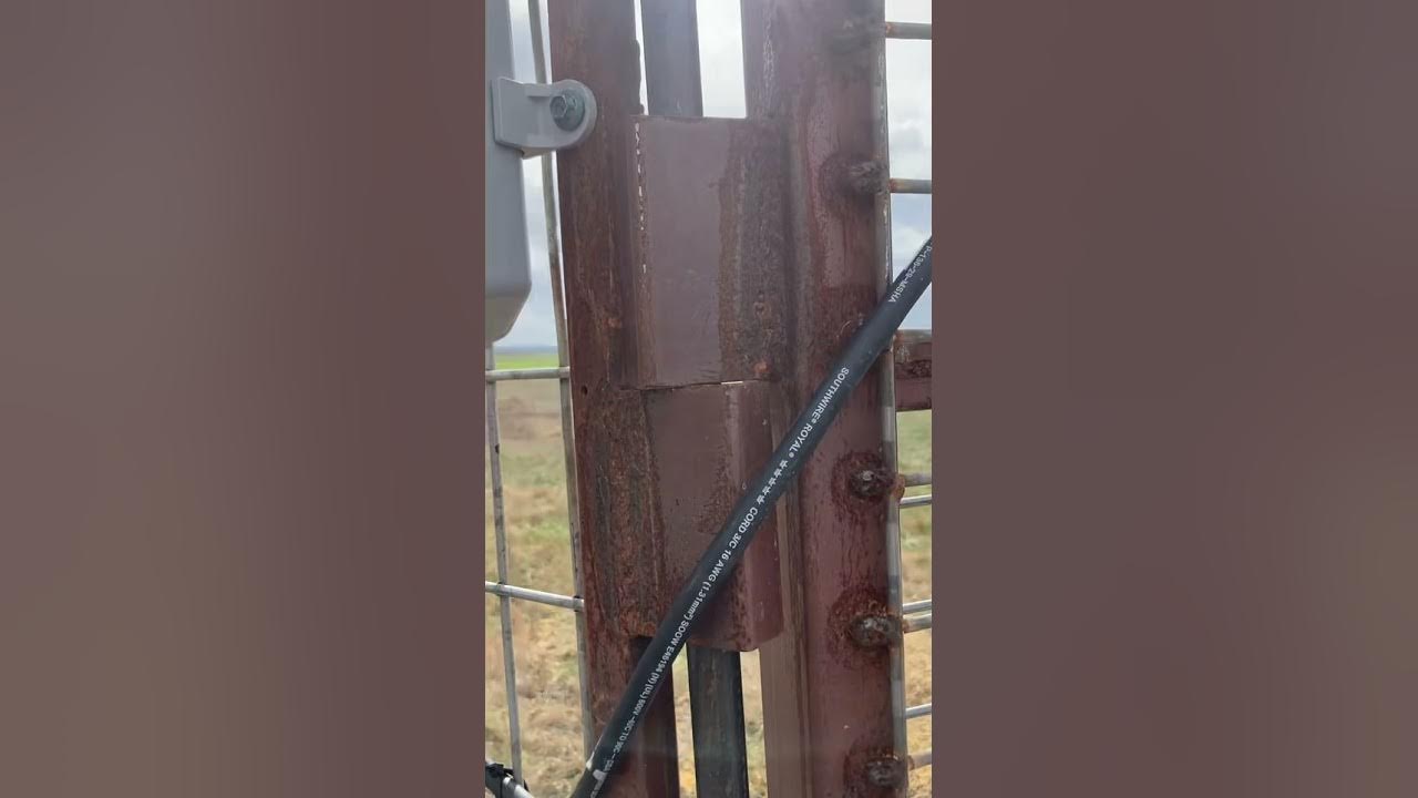 Hog Trap Trigger customer review YouTube