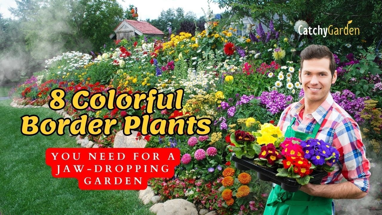 Top 8 Colorful Border Plants You Need for a Jaw Dropping Garden 🌷🌻