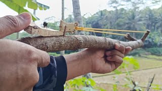 Long slingshot | It turns out that ordinary wood can be made into a strong slingshot. DIY SLINGSHOT