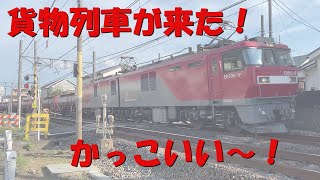 JR　高崎線　貨物　湘南新宿ライン　貨物列車　踏切　■じゅきチャンネル■電車■高画質■