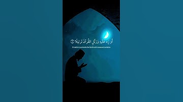 يا أيها المزمل _ #سورة_المزمل #القرآن_الكريم #راحة_نفسية #تلاوة_خاشعة