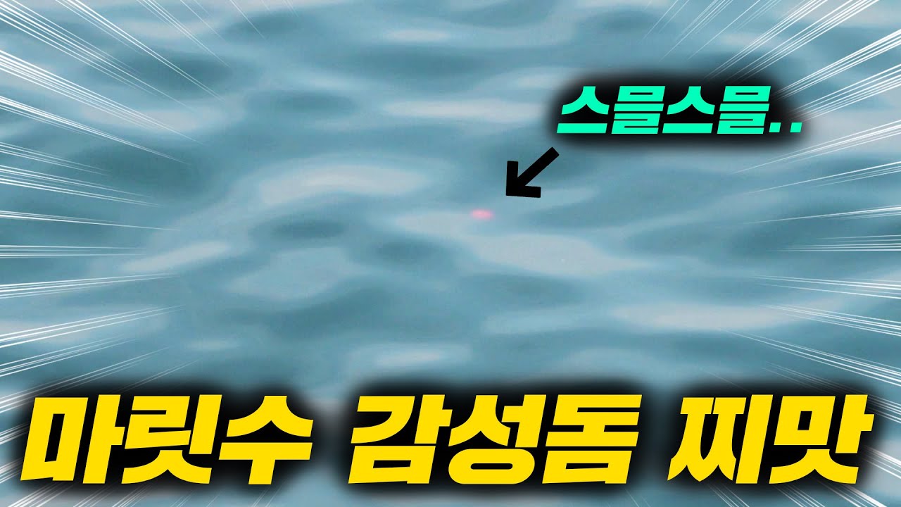 예민할때 잠길찌 낚시 원줄을 들고가는 하태도 마릿수 감성돔낚시!!