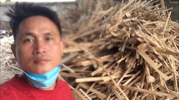 Chuyên thu mua củi và cung cấp củi thụt đốt lò hơi 0869962979